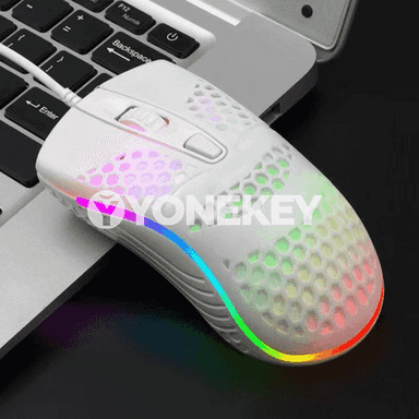 Kompýuterler üçin USB syçanjyk 